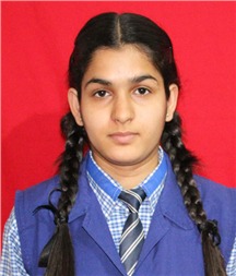 ZEENAT HUSSAIN